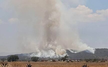 Incendio de matorrales moviliza a cuerpos de emergencia en Epazoyucan