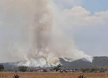 Incendio de matorrales moviliza a cuerpos de emergencia en Epazoyucan