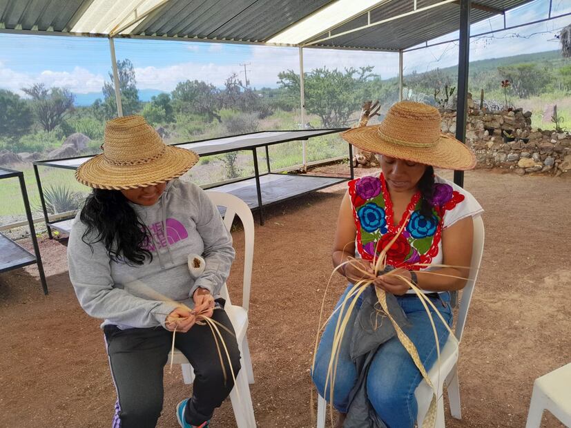 “Las Camaleonas”, un ejemplo de emprendimiento y fortalecimiento de la mujer indígena | Foto: Erika Gutierrez