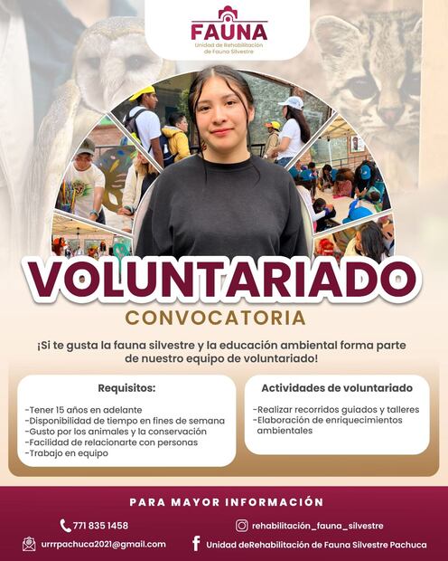 Facebook: Unidad de Rehabilitación de Fauna Silvestre Pachuca