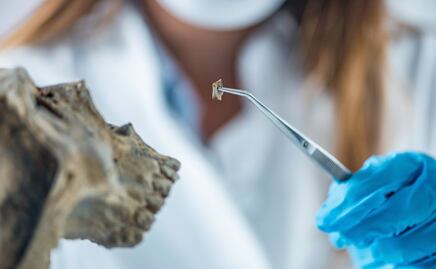 Identifican restos de tres personas en fosa clandestina de San Agustín Tlaxiaca; continúan análisis forenses