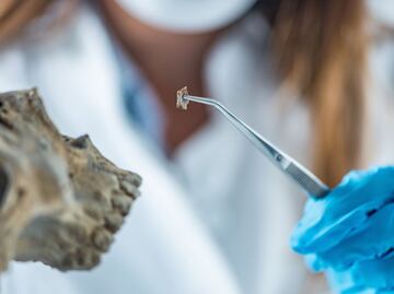 Identifican restos de tres personas en fosa clandestina de San Agustín Tlaxiaca; continúan análisis forenses