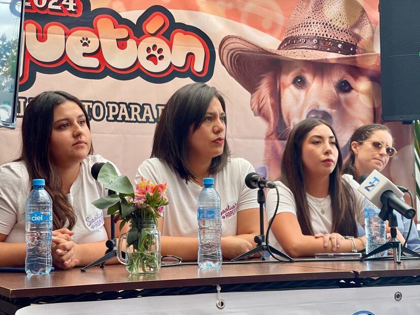 Foto: Marco Carrillo