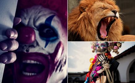 Tulancingo celebra el Día de Muertos con una agenda repleta de actividades