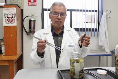 Profesor de la UAEH recibe el Premio Hidalgo de Ciencia y Tecnología 2025 por su destacada labor en herpetología