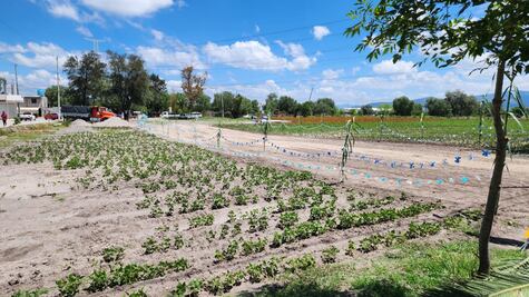 Tensión constante por la posesión de un campo en Bomintzhá, en Tula