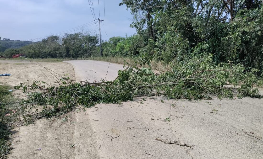 Foto: Francisco Bautista