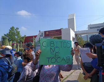 Galería: ¡Cubitos no se vende, se defiende! Marchan en Pachuca para salvar el cerro de la urbanización