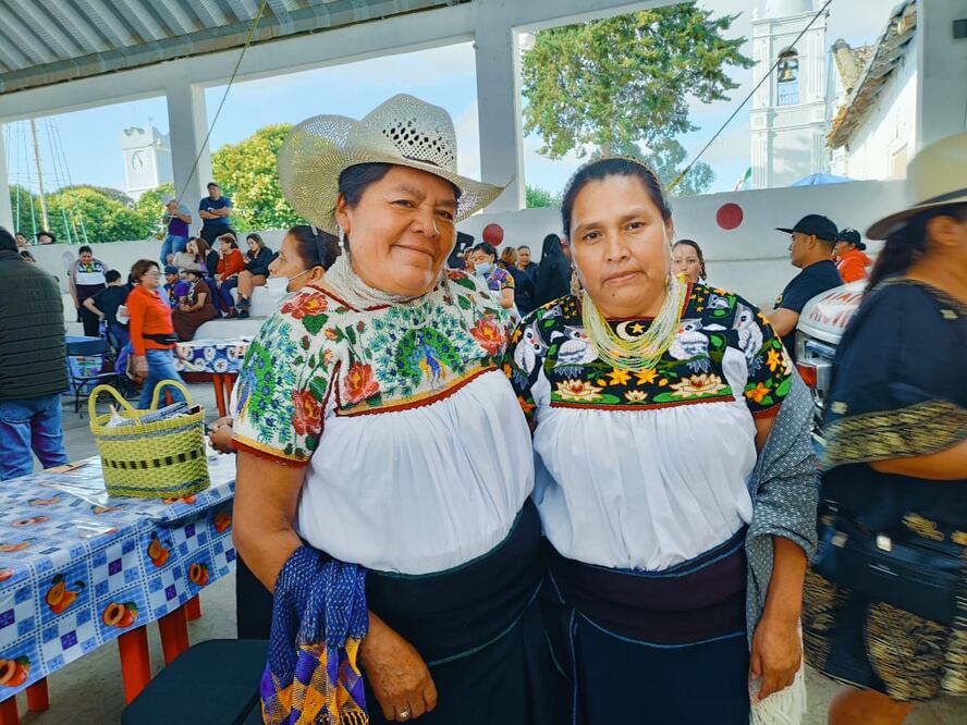 Acaxochitlán cuenta con 20 comunidades indígenas; Tulancingo, solo 12 registradas en el catálogo de Pueblos y Comunidades Indígenas del Estado de Hidalgo.