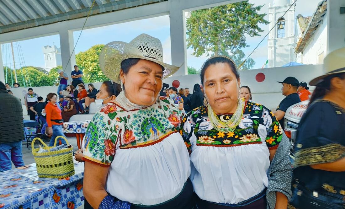 Acaxochitlán cuenta con 20 comunidades indígenas; Tulancingo, solo 12 registradas en el catálogo de Pueblos y Comunidades Indígenas del Estado de Hidalgo.