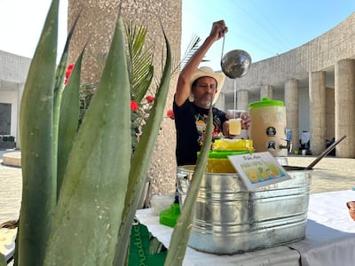 Hidalgo presume su músculo pulquero en el Día Estatal del Maguey