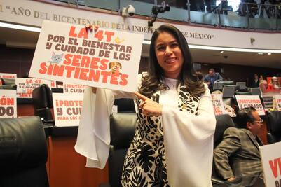 Histórica reforma en México; protección animal a nivel constitucional