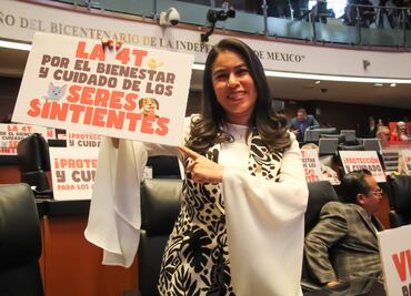 Histórica reforma en México; protección animal a nivel constitucional