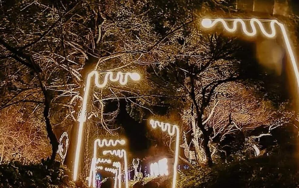 El evento Bosque Iluminado podría regresar en 2025 I Foto: Redes Bosque iluminado