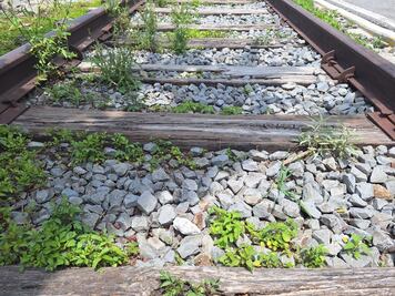 Vecinos de Huitzila rechazan paradero del tren AIFA–Pachuca