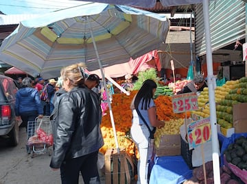 Mandarina el “lujo” de la ofrenda, alcanza los 95 pesos el kilo en la central de Pachuca