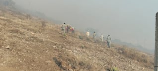 Controlado al 60% incendio en Cerro Gordo, junto a Torres de Rectoría 