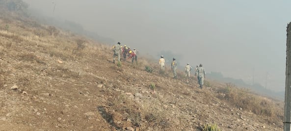 Controlado al 60% incendio en Cerro Gordo, junto a Torres de Rectoría