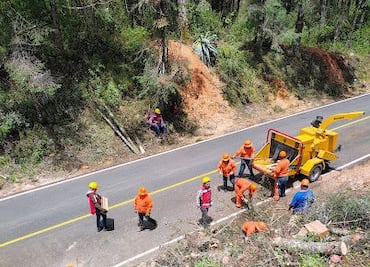 Cierre temporal en tramo carretero Milpa a Llano Grande por saneamiento forestal