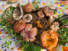 Epazoyucan alista el 9º Festival del Hongo con gastronomía, senderismo y actividades culturales