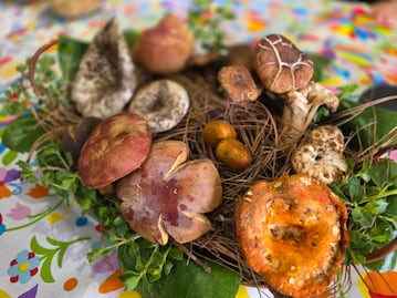 Epazoyucan alista el 9º Festival del Hongo con gastronomía, senderismo y actividades culturales