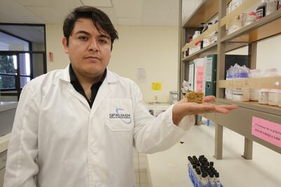 Egresado de la UAEH emprende con lácteos sin compuestos artificiales y realiza investigación sobre colesterol