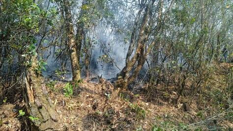 Se registra incendio forestal en Tenango de Doria