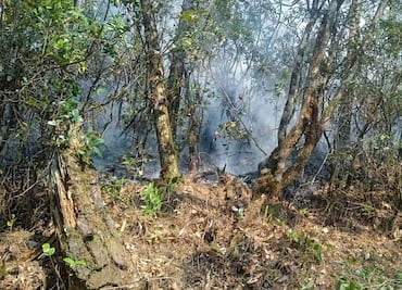 Se registra incendio forestal en Tenango de Doria