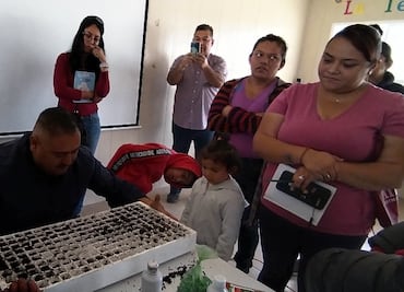 Inician huerto escolar en Tulancingo para promover alimentos libres de químicos