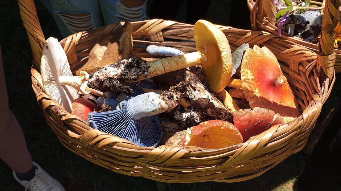 Gastronomía y tradiciones indígenas | Facebook: Operadora Turística Indígena FFF