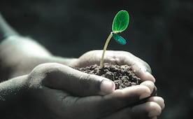 Reforestarán 11 ejidos de Alfajayucan con inversión de 16.5 mdp