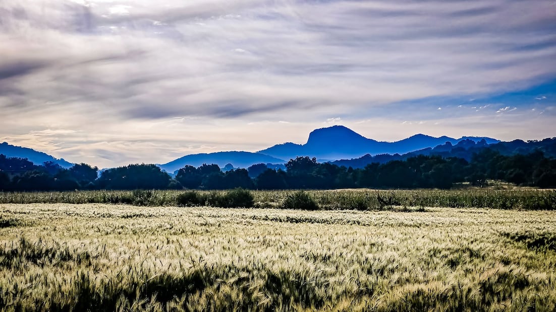 ¿Te atreves a conquistar el punto más alto de Hidalgo? Facebook: Coatlaco Hidalgo Mexico