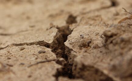 Incrementa sequía en la zona Huasteca y Sierra de Hidalgo