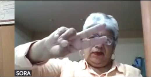 Regidora de Progreso de Obregón lanza insulto en sesión virtual con micrófono abierto