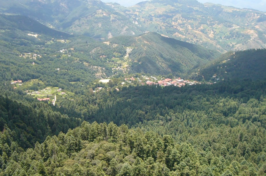 Miradores entre bosques | Foto: Wikimedia Commons
