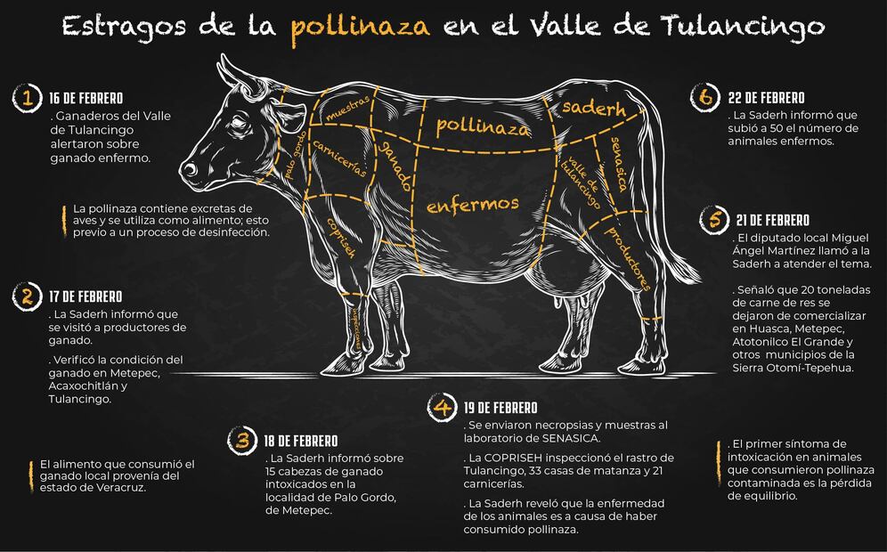 Diseño: Octavio Ornelas
