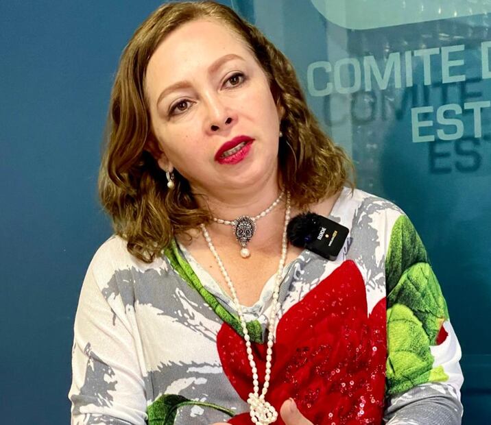 Claudia Lilia Luna, presidenta del PAN en Hidalgo I Foto: Marco Carrillo