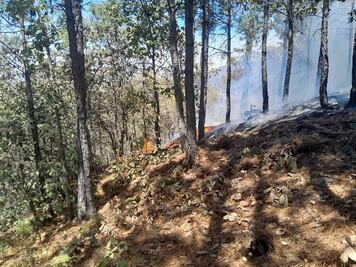 Incendio en Mineral del Chico esta 90 por ciento controlado