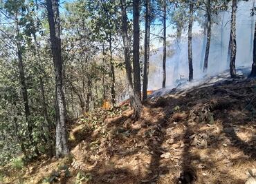 Incendio en Mineral del Chico esta 90 por ciento controlado