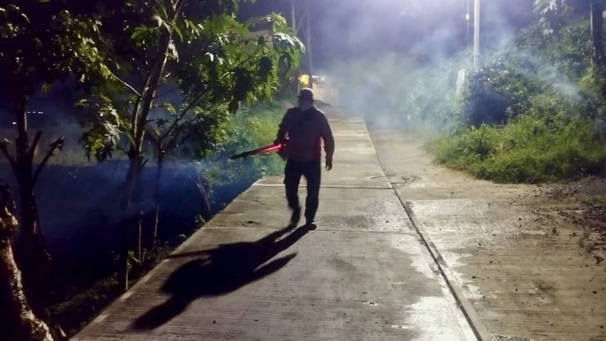 Sumó Hidalgo 283 casos de dengue en once meses; noviembre reportó uno grave