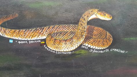 Indignación en Ixmiquilpan por eliminación de firma de artista local en mural colectivo