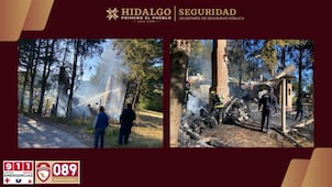 Incendio consume cabaña en zona boscosa de Mineral del Chico