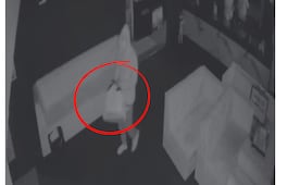 Video: Roban bar de exfutbolista de Pachuca