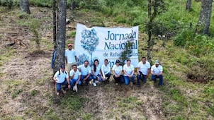 Hidalgo se suma a Jornada Nacional de Reforestación con 2 millones de plantas