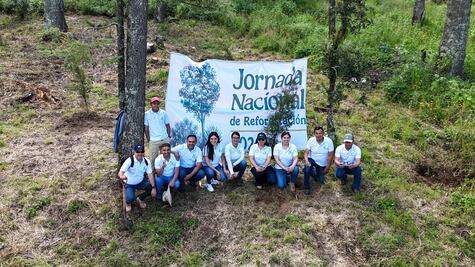 Hidalgo se suma a Jornada Nacional de Reforestación con 2 millones de plantas