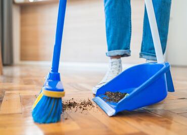 ¿Cuánto valdrían las actividades domésticas si fueran pagadas?