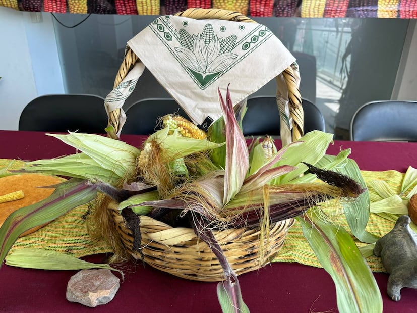 Singuilucan se prepara para celebrar el Festival del Maíz, un homenaje a la tradición y el desarrollo agrícola | Foto: Turismo Hidalgo