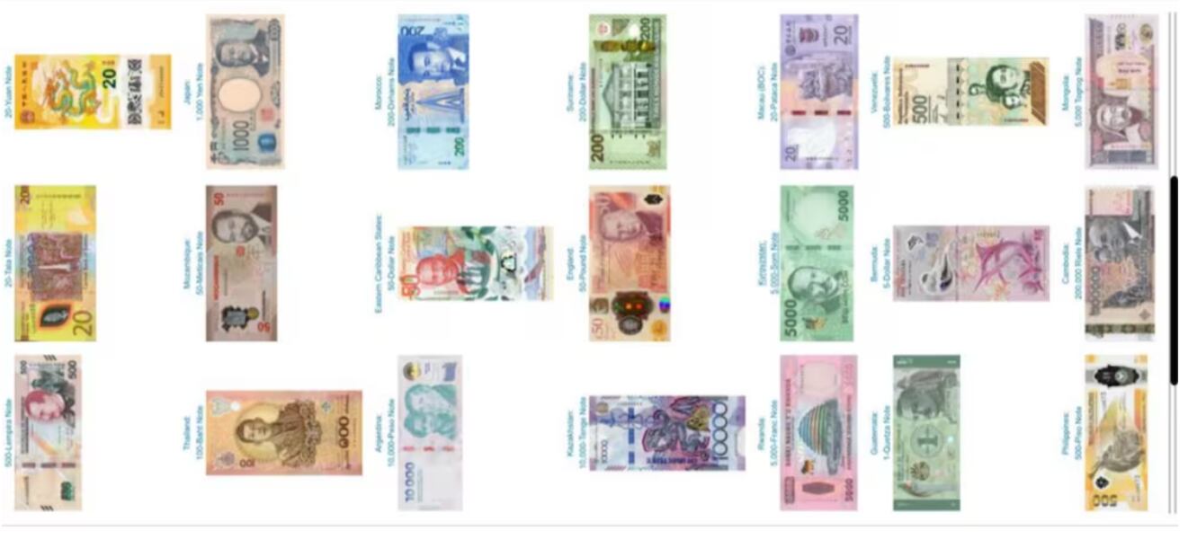 La Sociedad Internacional de Billetes de Banco (IBNS por sus siglas en inglés) anunció que en enero se cerró el plazo para recibir nominaciones. (05/02/25) Foto: Captura de pantalla
