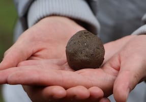 En Sierra Gorda se dispersarán Esferas de Vida para reforestar 5 mil 700 hectáreas