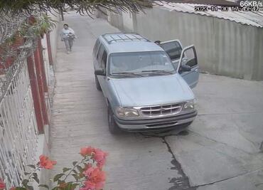 Por abandonar gatos en la vía pública hombre es obligado a donar alimento para perros y vacunas